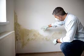  Anadarko, OK Mold Removal & Remediation Pros